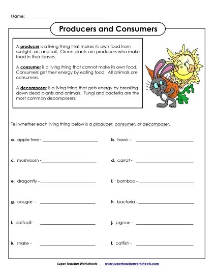Food Chain Worksheets - Producers, Consumers, and Decomposers (Printable PDF Worksheet)