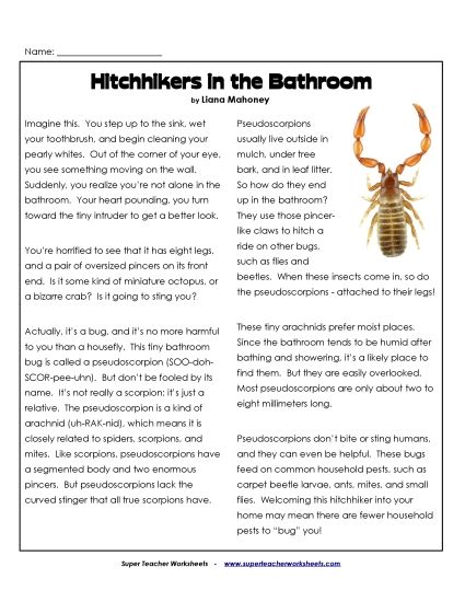 Animal Articles - Pseudoscorpions Article (Printable PDF Worksheet)