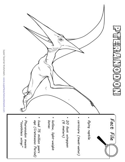 Dino Fact Files - Pteranodon Fact File (Printable PDF Worksheet)