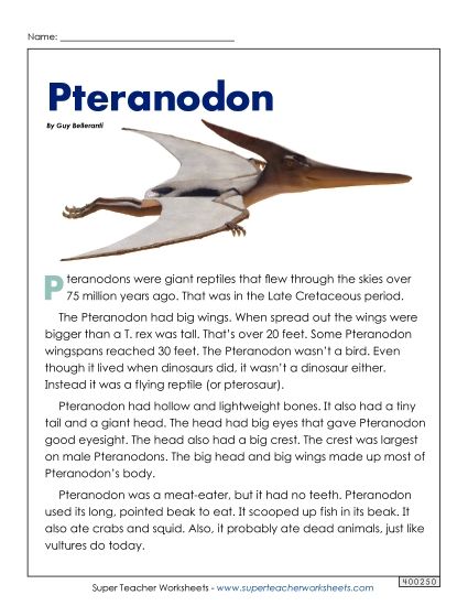 Reading Comprehension - Pteranodon (Printable PDF Worksheet)