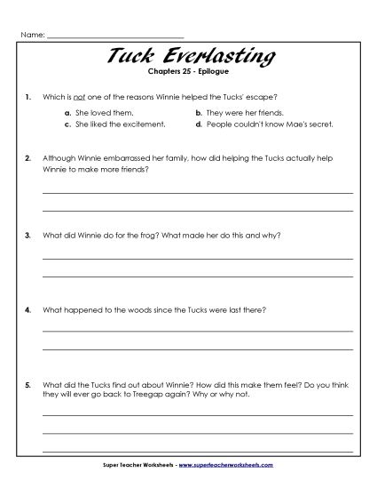 Chapter 25 - Epilogue - Questions for Chapter 25 (Printable PDF Worksheet)
