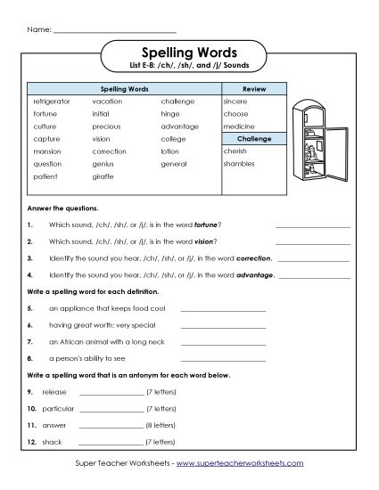 Printable Worksheets - Questions for E-8 (Printable PDF Worksheet)