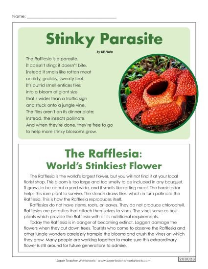 Poems - Rafflesia (Article & Poem) (Printable PDF Worksheet)