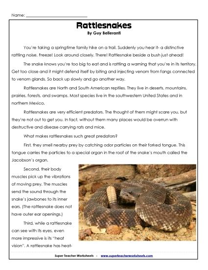 Reptiles - Rattlesnakes (Printable PDF Worksheet)