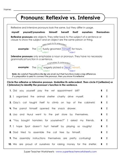 Reflexive & Intensive Pronouns - Reflexive vs. Intensive Pronouns (Printable PDF Worksheet)