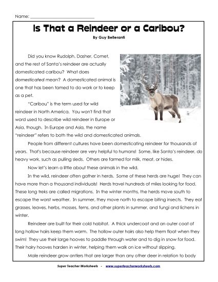 Mammals - Reindeer  (Printable PDF Worksheet)