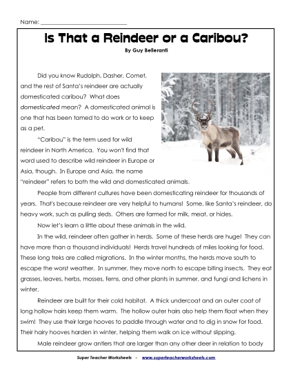 Reading Comprehension - Reindeer Passage (Printable PDF Worksheet)