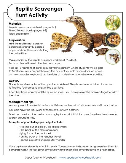 Scavenger Hunts - Reptile Classroom Scavenger Hunt (Printable PDF Worksheet)