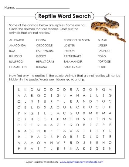 Intermediate (Grades 3-6) - Reptiles (Printable PDF Worksheet)