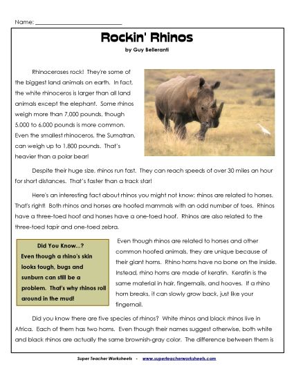 Mammals - Rhinos (Printable PDF Worksheet)