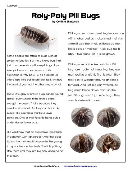 Nonfiction Articles - Roly-Poly Pill Bugs (Article) (Printable PDF Worksheet)