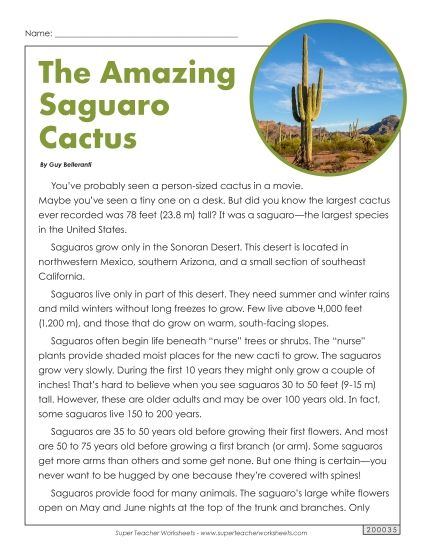 Reading Comprehension - Saguro Cactus (Printable PDF Worksheet)
