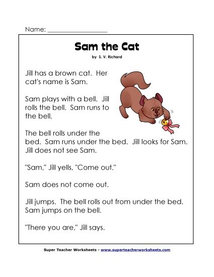 Sam the Cat (Printable PDF Worksheet)