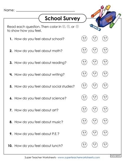Surveys - School Survey  (Printable PDF Worksheet)