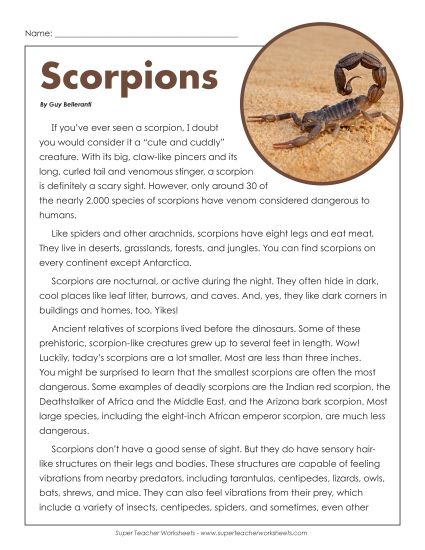Animal Articles - Scorpions Article (Printable PDF Worksheet)