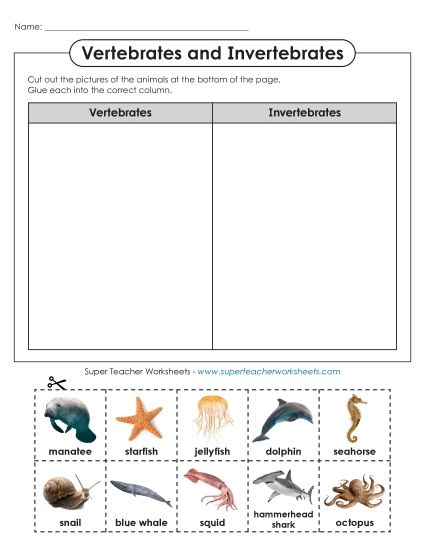 Vertebrates and Invertebrates - Sea Animals: Vertebrate-Invertebrate Sort (Printable PDF Worksheet)