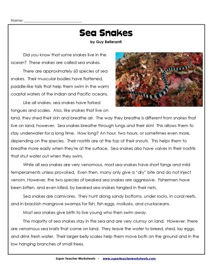 Reptiles - Sea Snakes Facts Worksheet (Printable PDF Worksheet)