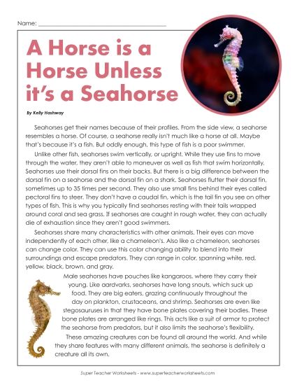 Nonfiction Articles - Seahorses (Printable PDF Worksheet)