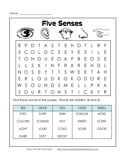Puzzles - Senses Word Search (Printable PDF Worksheet)