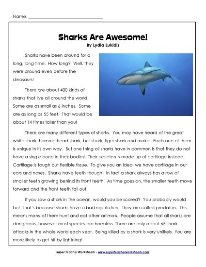 Nonfiction Articles - Sharks (Printable PDF Worksheet)