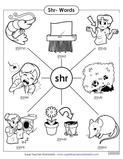 Phonics Blends and Digraphs - Shr- Words (Printable PDF Worksheet)