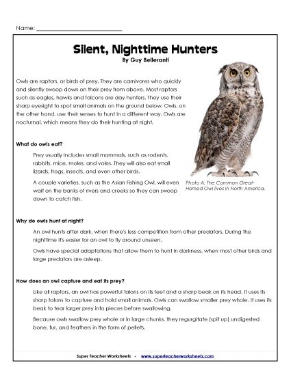 Owl Reading Comprehension - Silent, Nighttime Hunters (Printable PDF Worksheet)