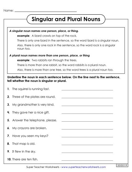Singular & Plural Nouns - Singular and Plural Nouns (Printable PDF Worksheet)