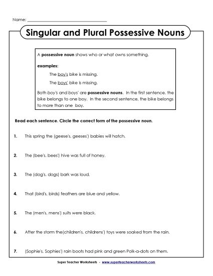 Singular & Plural Possessive - Singular & Plural Possessive Nouns (Printable PDF Worksheet)