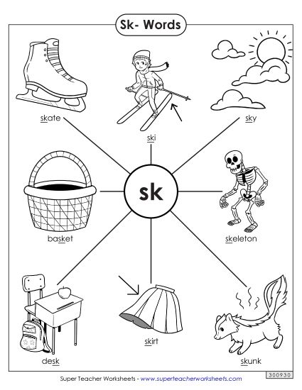 Phonics Blends and Digraphs - Sk- Words (Printable PDF Worksheet)