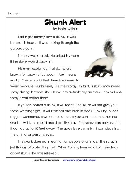 Nonfiction - Skunk Alert (Printable PDF Worksheet)