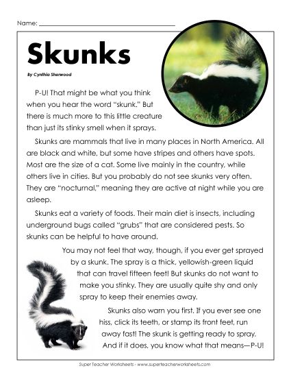 Nonfiction Articles - Skunks (Printable PDF Worksheet)