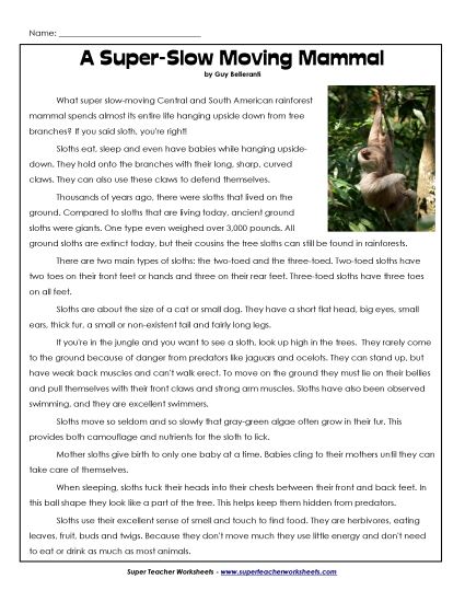 Mammals - Sloths (Printable PDF Worksheet)