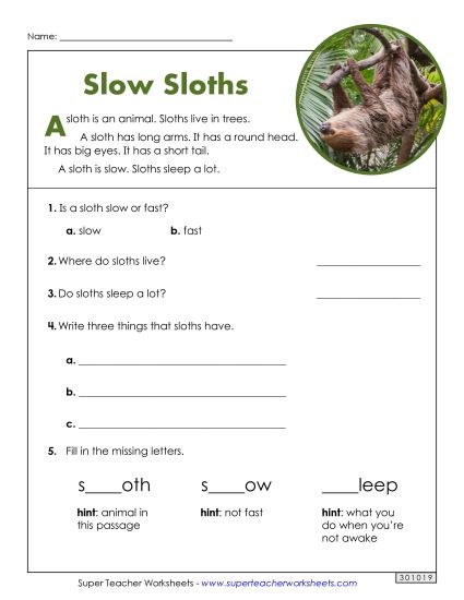 Mammals - Sloths (Short) (Printable PDF Worksheet)