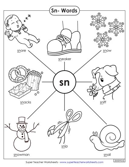 Phonics Blends and Digraphs - Sn- Words (Printable PDF Worksheet)