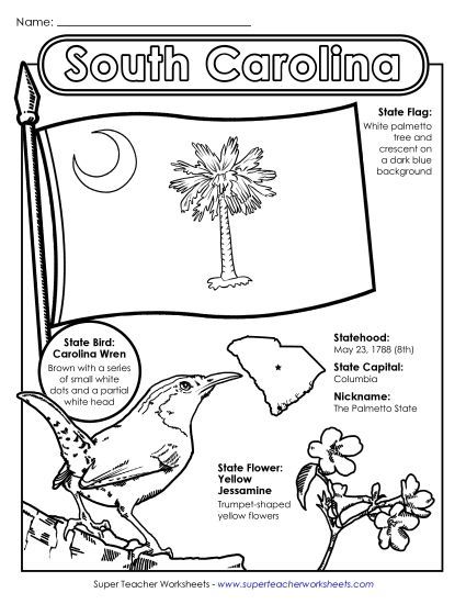 Symbols - South Carolina State Symbols Coloring Page (Printable PDF Worksheet)