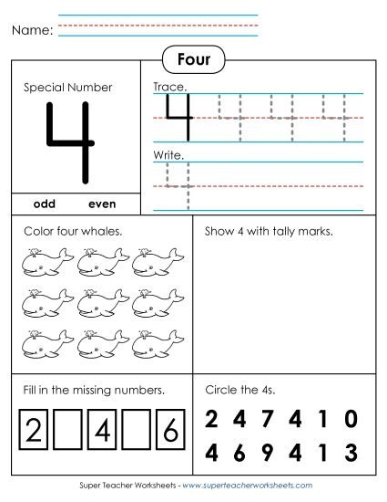 Number Four - Special Number: Four (Printable PDF Worksheet)