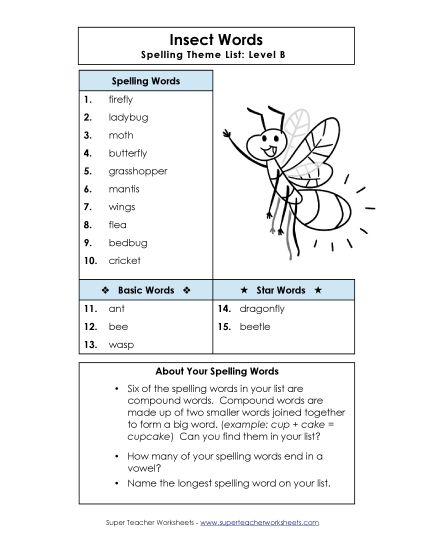 Spelling List - Spelling List (B-Insect Words)  (Printable PDF Worksheet)