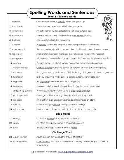 Spelling Test - Spelling Test Sentences (Printable PDF Worksheet)