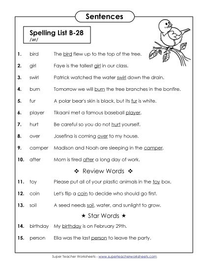 Spelling Test - Spelling Test Sentences (B-28) (Printable PDF Worksheet)