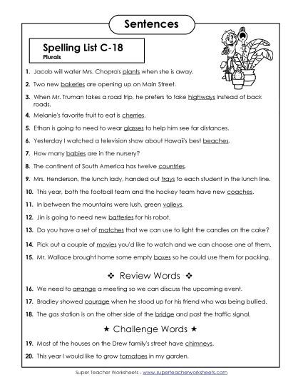 Spelling Test - Spelling Test Sentences (C-18)  (Printable PDF Worksheet)