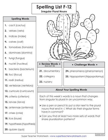 Spelling List - Spelling Word List (F-12) (Printable PDF Worksheet)