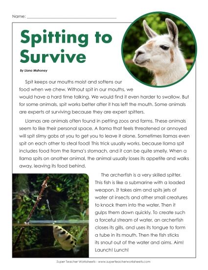 Nonfiction Articles - Spitting to Survive (Printable PDF Worksheet)