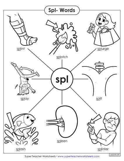 Phonics Blends and Digraphs - Spl- Words (Printable PDF Worksheet)