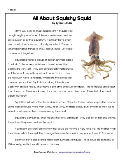 Other Animals - Squid (Printable PDF Worksheet)