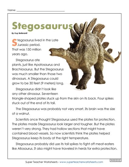 Reading Comprehension - Stegosaurus (Printable PDF Worksheet)