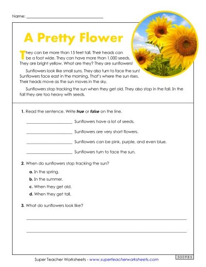 Short Passages - Sunflowers (Short) (Printable PDF Worksheet)