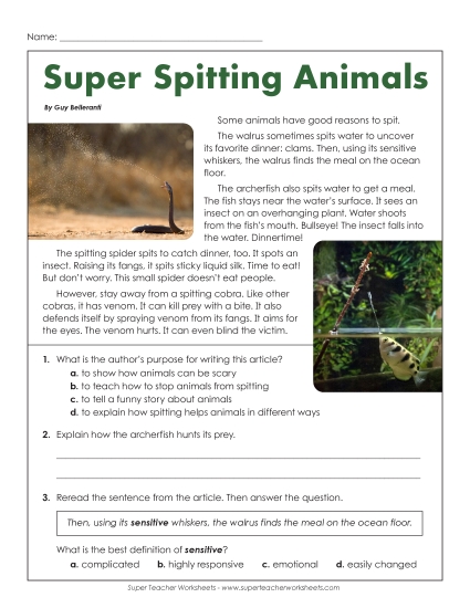 Short Passages - Super Spitting Animals (Short, Nonfiction) (Printable PDF Worksheet)