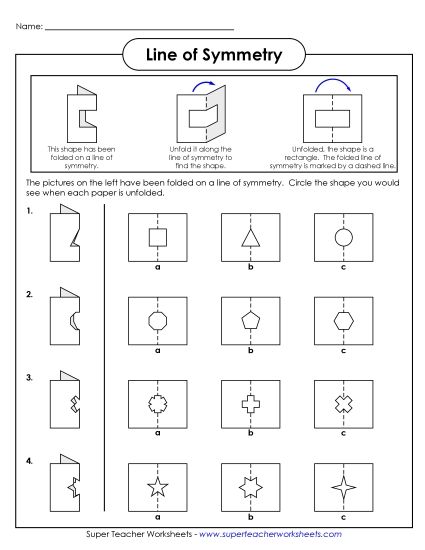 Symmetry Folded Shapes (Printable PDF Worksheet)