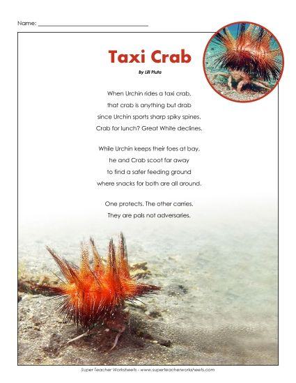 Poems - Taxi Crab (Poetry) (Printable PDF Worksheet)
