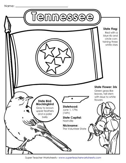 Symbols - Tennessee State Symbols Coloring Page (Printable PDF Worksheet)
